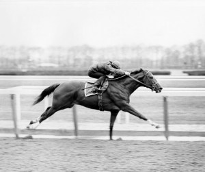 Secretartiat Gotham Morning Workout